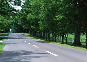 山梨でのバイク買取はリバースオートへ